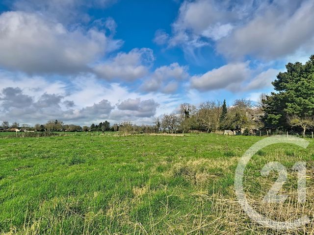 terrain - BOURNEVILLE STE CROIX - 27